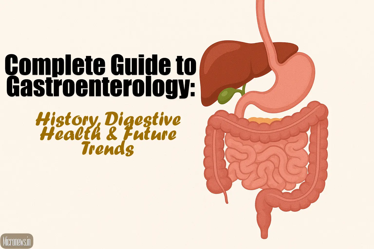 Illustration of the human digestive system including stomach, intestines, liver, and pancreas,.