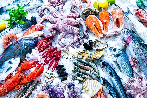 Seafood